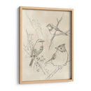 Songbird Vintage Boceto I - June Erica Vess | Cuadro decorativo de Canvas Lab