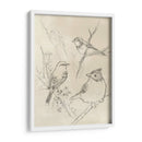 Songbird Vintage Boceto I - June Erica Vess | Cuadro decorativo de Canvas Lab