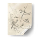 Songbird Vintage Boceto I - June Erica Vess | Cuadro decorativo de Canvas Lab