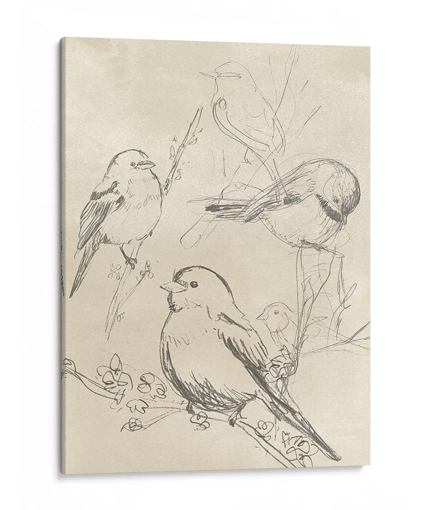 Bosquejo De Pájaro Songbird Vintage Ii - June Erica Vess | Cuadro decorativo de Canvas Lab
