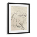 Bosquejo De Pájaro Songbird Vintage Ii - June Erica Vess | Cuadro decorativo de Canvas Lab