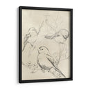 Bosquejo De Pájaro Songbird Vintage Ii - June Erica Vess | Cuadro decorativo de Canvas Lab