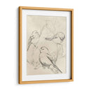 Bosquejo De Pájaro Songbird Vintage Ii - June Erica Vess | Cuadro decorativo de Canvas Lab