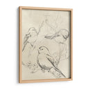 Bosquejo De Pájaro Songbird Vintage Ii - June Erica Vess | Cuadro decorativo de Canvas Lab