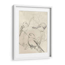 Bosquejo De Pájaro Songbird Vintage Ii - June Erica Vess | Cuadro decorativo de Canvas Lab