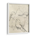 Bosquejo De Pájaro Songbird Vintage Ii - June Erica Vess | Cuadro decorativo de Canvas Lab