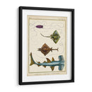 Rayos Antiguos Y Peces I - Chevillet | Cuadro decorativo de Canvas Lab