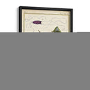 Rayos Antiguos Y Peces I - Chevillet | Cuadro decorativo de Canvas Lab