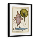 Rayos Antiguos Y Peces Ii - Chevillet | Cuadro decorativo de Canvas Lab