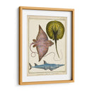 Rayos Antiguos Y Peces Ii - Chevillet | Cuadro decorativo de Canvas Lab