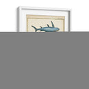 Rayos Antiguos Y Pescado Iii - Chevillet | Cuadro decorativo de Canvas Lab