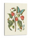 Midsummer Floral I - Vision Studio | Cuadro decorativo de Canvas Lab