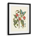 Midsummer Floral I - Vision Studio | Cuadro decorativo de Canvas Lab