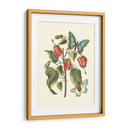 Midsummer Floral I - Vision Studio | Cuadro decorativo de Canvas Lab