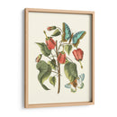 Midsummer Floral I - Vision Studio | Cuadro decorativo de Canvas Lab