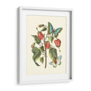 Midsummer Floral I - Vision Studio | Cuadro decorativo de Canvas Lab