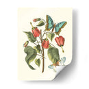 Midsummer Floral I - Vision Studio | Cuadro decorativo de Canvas Lab