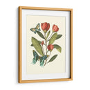 Midsummer Floral Ii - Vision Studio | Cuadro decorativo de Canvas Lab