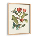 Midsummer Floral Ii - Vision Studio | Cuadro decorativo de Canvas Lab