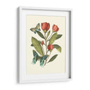 Midsummer Floral Ii - Vision Studio | Cuadro decorativo de Canvas Lab