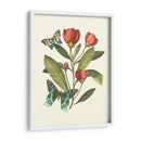 Midsummer Floral Ii - Vision Studio | Cuadro decorativo de Canvas Lab