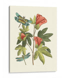 Midsummer Floral Iii - Vision Studio | Cuadro decorativo de Canvas Lab