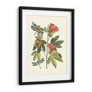 Midsummer Floral Iii - Vision Studio | Cuadro decorativo de Canvas Lab