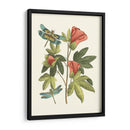 Midsummer Floral Iii - Vision Studio | Cuadro decorativo de Canvas Lab