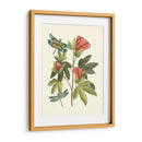 Midsummer Floral Iii - Vision Studio | Cuadro decorativo de Canvas Lab