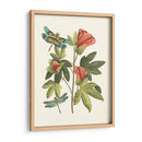 Midsummer Floral Iii - Vision Studio | Cuadro decorativo de Canvas Lab