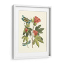 Midsummer Floral Iii - Vision Studio | Cuadro decorativo de Canvas Lab