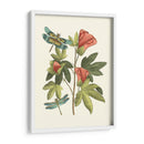 Midsummer Floral Iii - Vision Studio | Cuadro decorativo de Canvas Lab