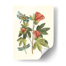 Midsummer Floral Iii - Vision Studio | Cuadro decorativo de Canvas Lab