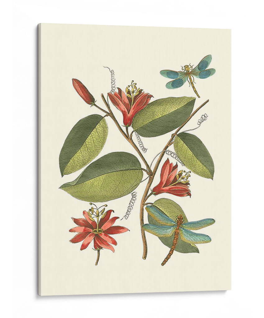 Midsummer Floral Iv - Vision Studio | Cuadro decorativo de Canvas Lab