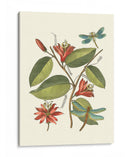 Midsummer Floral Iv - Vision Studio | Cuadro decorativo de Canvas Lab