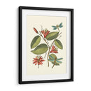 Midsummer Floral Iv - Vision Studio | Cuadro decorativo de Canvas Lab