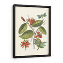 Midsummer Floral Iv - Vision Studio | Cuadro decorativo de Canvas Lab