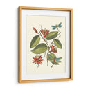 Midsummer Floral Iv - Vision Studio | Cuadro decorativo de Canvas Lab