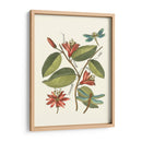 Midsummer Floral Iv - Vision Studio | Cuadro decorativo de Canvas Lab