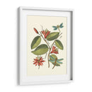 Midsummer Floral Iv - Vision Studio | Cuadro decorativo de Canvas Lab