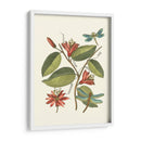 Midsummer Floral Iv - Vision Studio | Cuadro decorativo de Canvas Lab