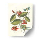 Midsummer Floral Iv - Vision Studio | Cuadro decorativo de Canvas Lab