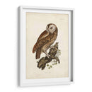 Buho Carabo - John Selby | Cuadro decorativo de Canvas Lab
