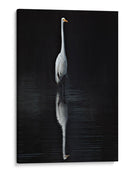 Egret Elegante I - David Drost | Cuadro decorativo de Canvas Lab