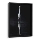 Egret Elegante I - David Drost | Cuadro decorativo de Canvas Lab