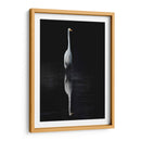 Egret Elegante I - David Drost | Cuadro decorativo de Canvas Lab