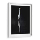 Egret Elegante I - David Drost | Cuadro decorativo de Canvas Lab
