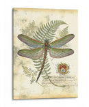 Mini Libélula Regal I - Vision Studio | Cuadro decorativo de Canvas Lab