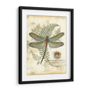 Mini Libélula Regal I - Vision Studio | Cuadro decorativo de Canvas Lab