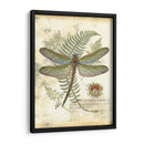 Mini Libélula Regal I - Vision Studio | Cuadro decorativo de Canvas Lab